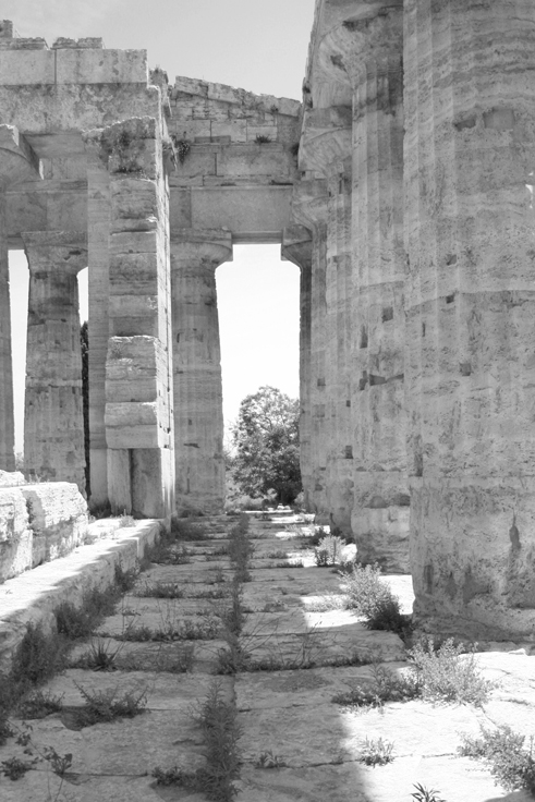 Paestum 04_present