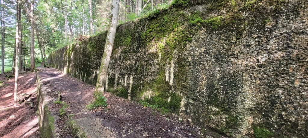 Berghof - back wall