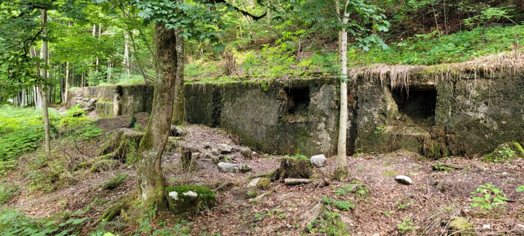 Berghof - back wall 2