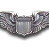 USAF Pilot wing