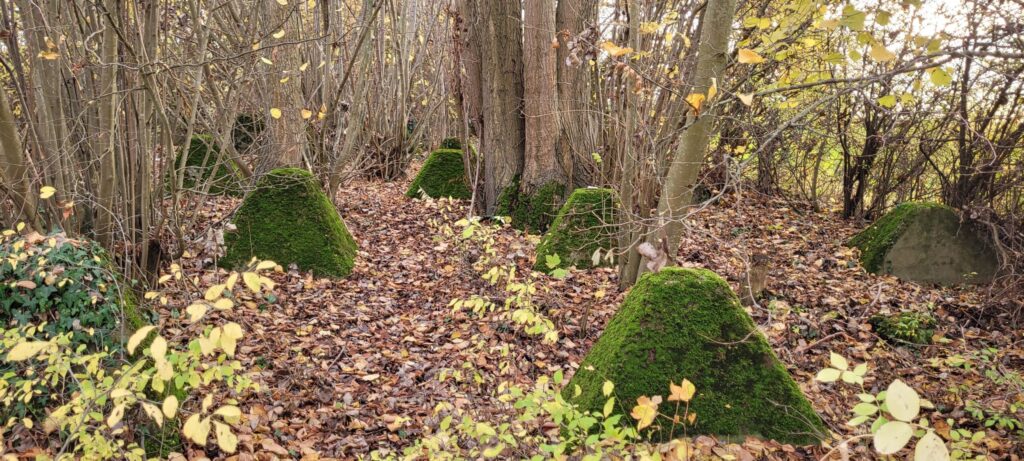 Siegfried Line - Vetschau