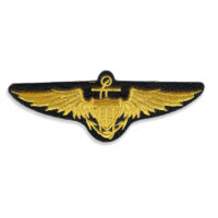 Navy pilot wing patch