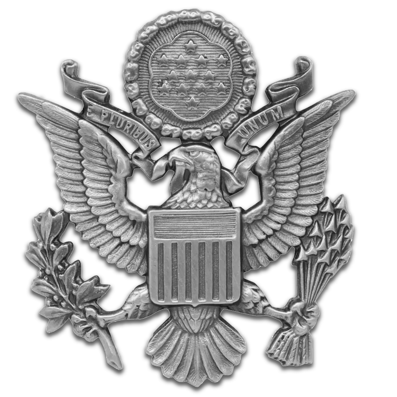 US Air Force Officers Cap Badge - silver oxide